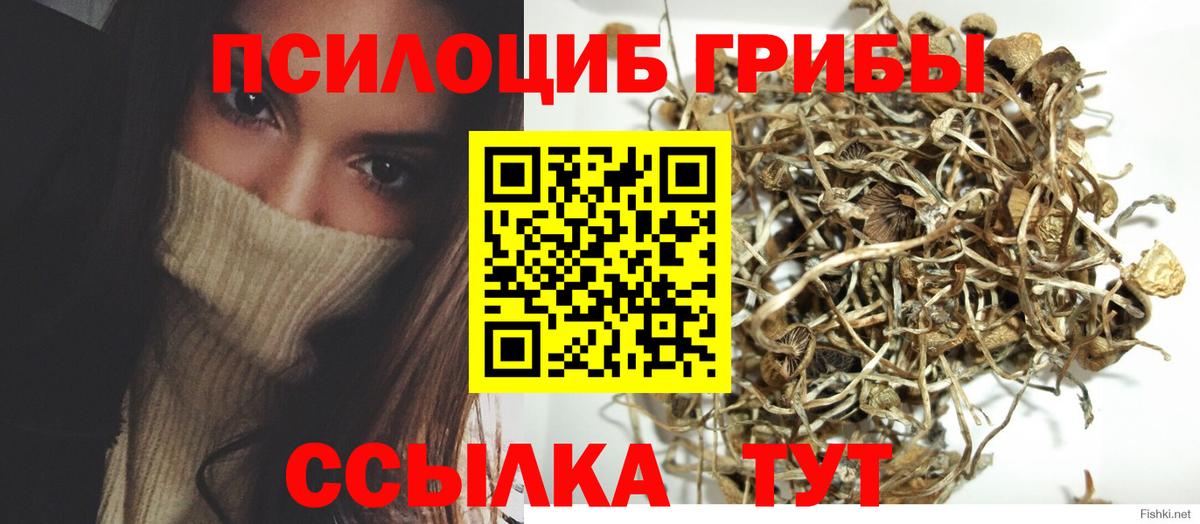 Галлюциногенные грибы Cubensis Брянск