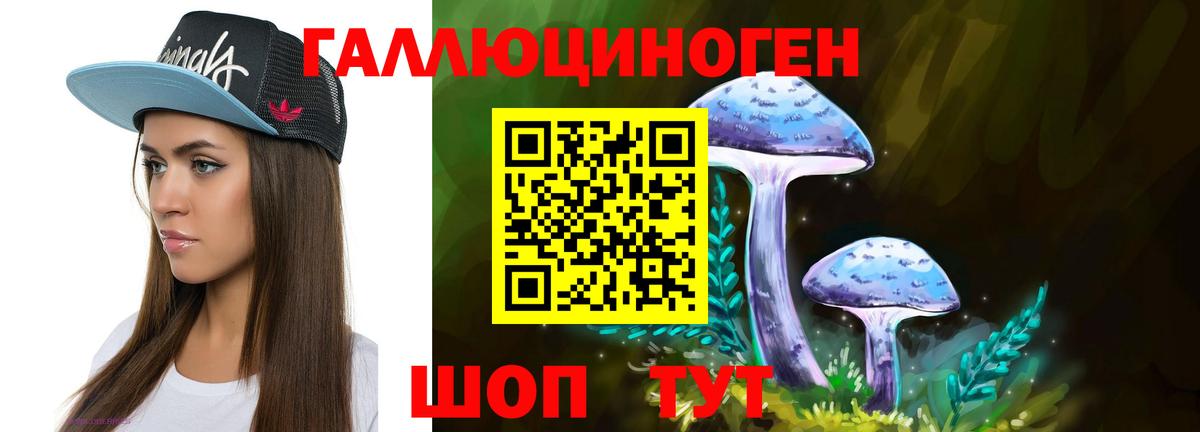 Брянск  Псилоцибиновые грибы мухоморы  Вход с VPN 