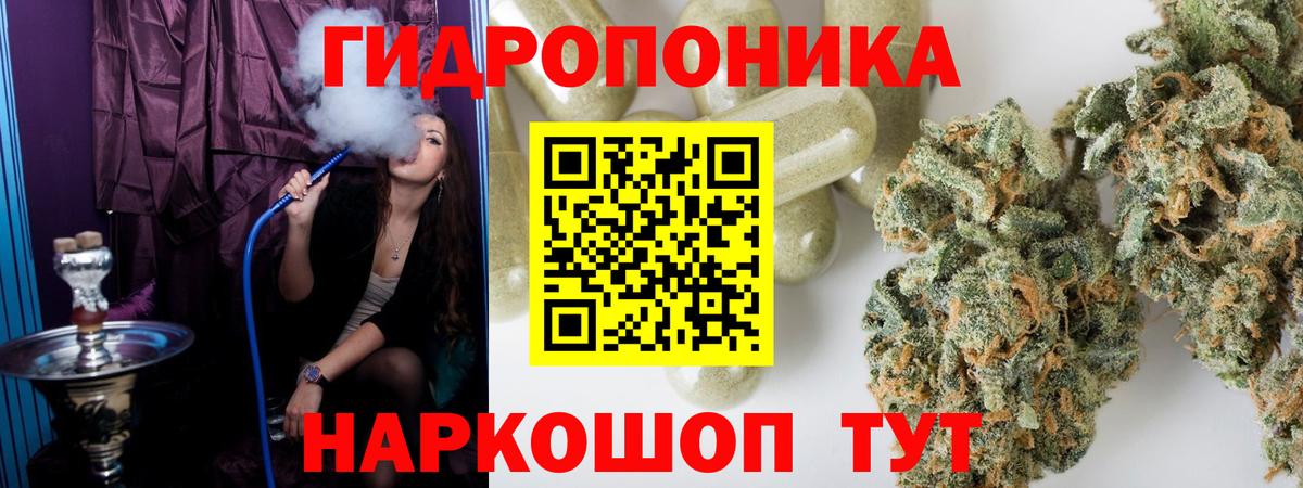 Конопля марихуана Брянск
